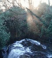 Picture for song 'Om jag väljer dig igen' by artist 'Lolita Ray'