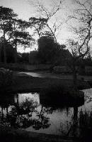 Picture for song 'Somnar inte om' by artist 'Lolita Ray'