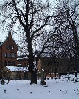 Picture for song 'Widescreen TV' by artist 'Lolita Ray'