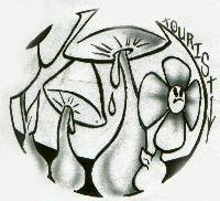 Picture for song 'Shit headz' by artist 'lone1'