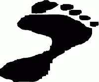 Picture for song 'ballroom' by artist 'longton (bfr)'