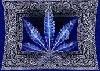 Picture for song 'SOUTHERN UNITED RIDAZ' by artist 'LOONY'