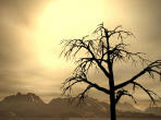 Picture for song 'Ghostrock' by artist 'Lopho'
