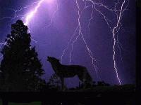 Picture for song 'Taken Away (Original country)' by artist 'loraine'