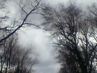 Picture for song 'Flight 47' by artist 'LordMaestro'