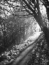 Picture for song 'Requiems Housed Her Mourning Soul (lynched)' by artist 'Lord Valadrius'