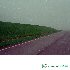 Song picture