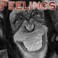 Picture for song 'Feelings' by artist 'LosChimpos'