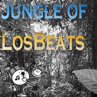 Picture for song 'Jungle of LosBeats' by artist 'LosChimpos'