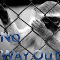 Picture for song 'No Way Out' by artist 'LosChimpos'