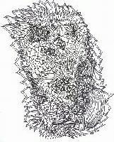 Picture for song 'inclined' by artist 'lost generation music (us)'