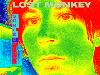 Picture for song 'De-Evolution' by artist 'Lost Monkey'