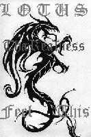 Picture for song 'Tha Hear An Now' by artist 'LotusBrave'