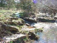Picture for song 'Down by the Creek' by artist 'Louis Twinn'