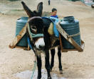 Picture for song 'on its way' by artist 'Lounge Inc'