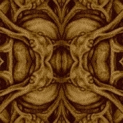 Picture for song 'All F*ed Up [Infidel demo, pre-vocals]' by artist 'Lowell Pelkey'