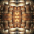 Picture for song 'Coward [Infidel demo]' by artist 'Lowell Pelkey'