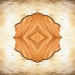 Picture for song 'Distractions [live instrumental]' by artist 'Lowell Pelkey'