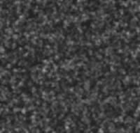 Picture for song 'I Wanna Disappear [demo, pre-vocals]' by artist 'Lowell Pelkey'