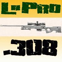 Picture for song 'You F**king Bitch!' by artist 'L Pro'