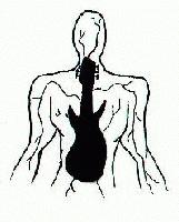 Picture for song 'Taphophobia' by artist 'LuayRifai'