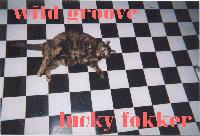 Picture for song 'animal attraction' by artist 'lucky fokker'