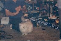 Picture for song 'borrowed time' by artist 'lucky fokker'