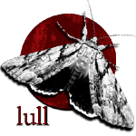 Picture for song 'considering' by artist 'lull'