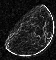 Picture for song 'lidenbrock' by artist 'lunar (MX)'