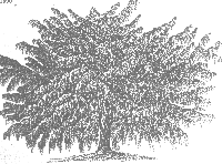 Picture for song 'Epiphenomenalist' by artist 'Lupili'