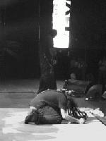 Picture for song 'Pax' by artist 'Lupili'