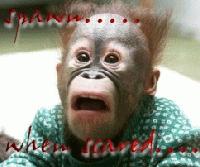 Picture for song 'Bhallay Basyo' by artist 'luray'