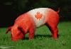 Picture for song 'CANADIAN BACON' by artist 'L Vision'