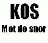 Picture for song 'Kos met de snor -Vuurwerk' by artist 'LVO-beweging'