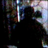 Picture for song 'Future: The Undead World' by artist 'Lycurgus'