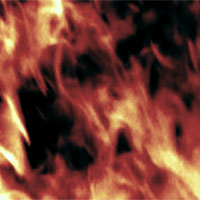 Picture for song 'The Horizon (on fire)' by artist 'Lycurgus'