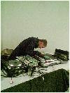 Picture for song 'Past Days' by artist 'Lyrically Able'