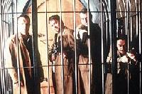 Picture for song 'We Grow Weed' by artist 'LZ SECTOR 2'