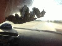 Picture for song '"Roach Hotel"' by artist 'M3L'