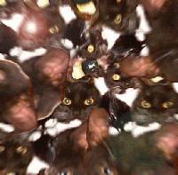 Picture for song 'Tigtog' by artist 'Maboroshi'