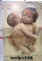 Picture for song 'Josef Mengele' by artist 'Machete666'