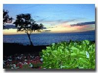 Picture for song 'SummerTime' by artist 'MaD Crew(MinD)'