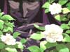 Picture for song 'Condolance Letter' by artist 'Madd NuKLes'