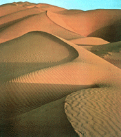 Picture for song 'Miles Of Sand' by artist 'MaddWest Presents Thundacats'