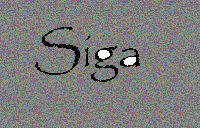 Picture for song 'Take Back the Streets (Fet. JAY-Z and Mya) Remix!' by artist 'Made By Siga'