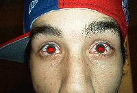 Picture for song 'Long Live the King' by artist 'Mafia Rep'