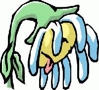 Picture for song 'Live is Shit' by artist 'maGma'