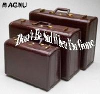 Picture for song 'Don't Be Sad When I'm Gone' by artist 'magnu'