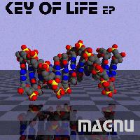 Picture for song 'Key Of Life' by artist 'magnu'