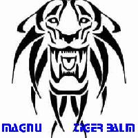 Picture for song 'Tiger Balm' by artist 'magnu'